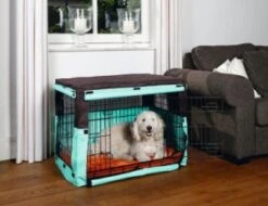 Beeztees Benchhoes Bruin/mint -Dierbenodigdheden-Honden DIERENWINKELXL32839 shoparticle