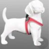 Tre Ponti - Fibbia Tuig Reflecterend (rood) -Dierbenodigdheden-Honden DIERENWINKELXL74522 shoparticle