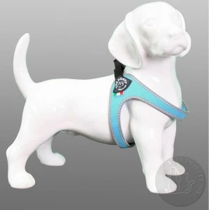 Tre Ponti - Fibbia Tuig Reflecterend (blauw) 3 Tre Ponti - Fibbia Tuig Reflecterend (blauw)