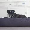 Hondenbed Antraciet Extra Small -Dierbenodigdheden-Honden file 102