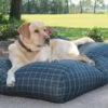 Hondenbed Black Watch Extra Small -Dierbenodigdheden-Honden file 121