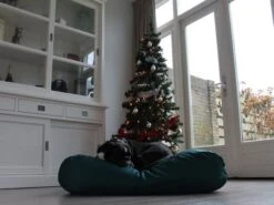 Hondenbed Groen Vuilafstotende Coating Small -Dierbenodigdheden-Honden file 132