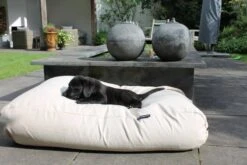 Hondenbed White Sand Large -Dierbenodigdheden-Honden file 164