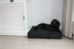 Benchkussen 65x50x10 Cm Zwart