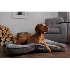 Scruffs Chester Mattress - L - Grafiet -Dierbenodigdheden-Honden file 177