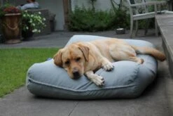 Hondenkussen Lichtgrijs Small