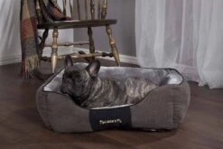 Scruffs Chester Box Bed - Grafiet (grijs) - M -Dierbenodigdheden-Honden file 191