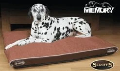 Scruffs Hilton Orthopaedic Large Hondenkussen Bruin 12 Scruffs Hilton Orthopaedic Large Hondenkussen Bruin -Dierbenodigdheden-Honden file 198