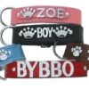 Hondenhalsband Met Naam Large Baby Blue -Dierbenodigdheden-Honden file 217