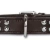Hondenhalsband Stunning Studs Black -Dierbenodigdheden-Honden file 223
