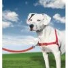 PetSafe Anti-Trek Hondentuig Easy Walk ® Rood 2 PetSafe Anti-Trek Hondentuig Easy Walk ® Rood -Dierbenodigdheden-Honden file 237