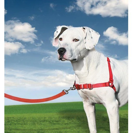 PetSafe Anti-Trek Hondentuig Easy Walk ® Rood 3 PetSafe Anti-Trek Hondentuig Easy Walk ® Rood