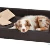 Hondensofa Candy Donkerbruin -Dierbenodigdheden-Honden file 24