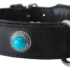 Hondenhalsband Antique Turquoise -Dierbenodigdheden-Honden file 247
