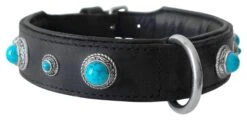 Hondenhalsband Antique Turquoise -Dierbenodigdheden-Honden file 248