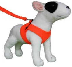 Hondentuig Comfy Harnass Mesh Fluo Orange -Dierbenodigdheden-Honden file 257