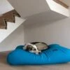 Hondenbed Aqua Blauw Small -Dierbenodigdheden-Honden file 26