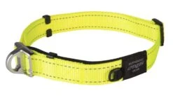 ROGZ Hondenhalsband Safety Geel