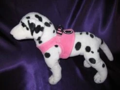 Dierbenodigdheden-Honden -Dierbenodigdheden-Honden file 274