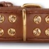 Hondenhalsband Swarovski Extreme Brown 30mm 2 Hondenhalsband Swarovski Extreme Brown 30mm -Dierbenodigdheden-Honden file 284