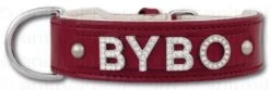 Hondenhalsband Met Naam Medium Red -Dierbenodigdheden-Honden file 292