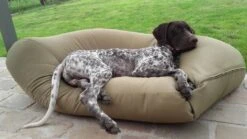 Hondenkussen Khaki Vuilafstotende Coating Medium