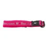 Hurtta Padded Collar - Roze - 30-40 Cm -Dierbenodigdheden-Honden hurtta padded collar roze 30 40 cm 70954 0300 none