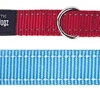 Rogz For Dogs Fanbelt Multipurpose Lijn Turquoise -Dierbenodigdheden-Honden image 115