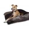 Scruffs Chester Divan Graphite Hondenkussen Large -Dierbenodigdheden-Honden scruffs chester divan graphite hondenkussen