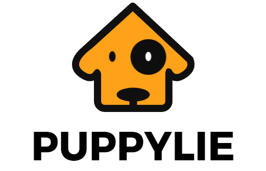 Dierbenodigdheden-Honden